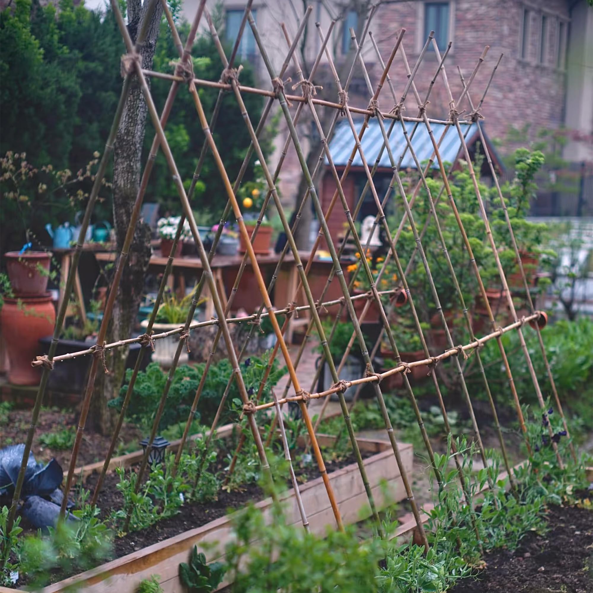 Colotime outdoor garden scene showing plant support stakes in a sunny bed