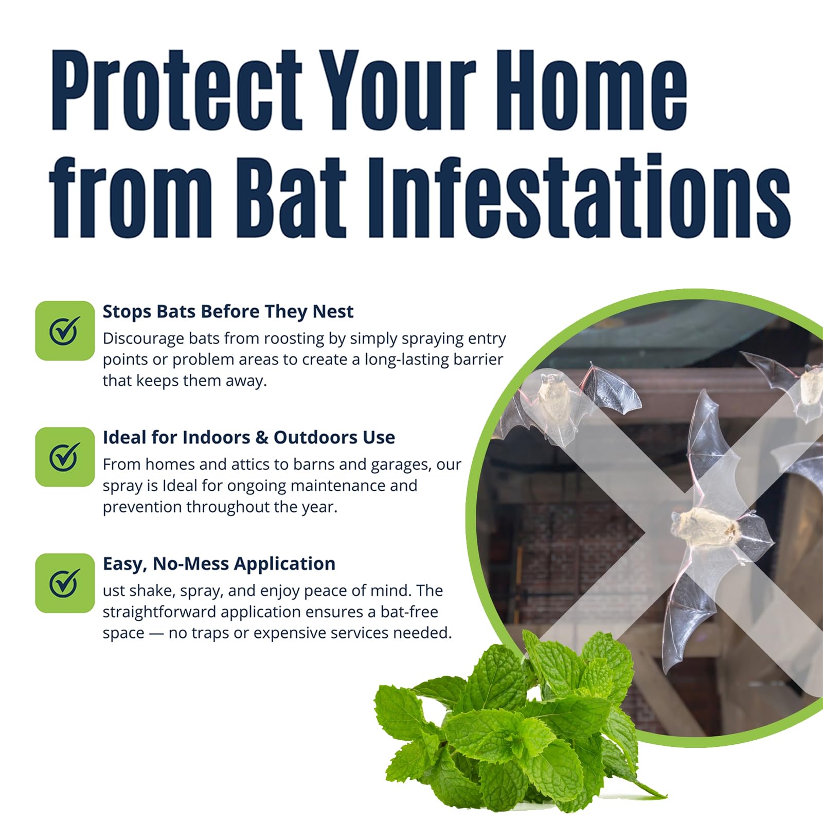 Colton's Naturals bat deterrent spray helps prevent intrusions in barns