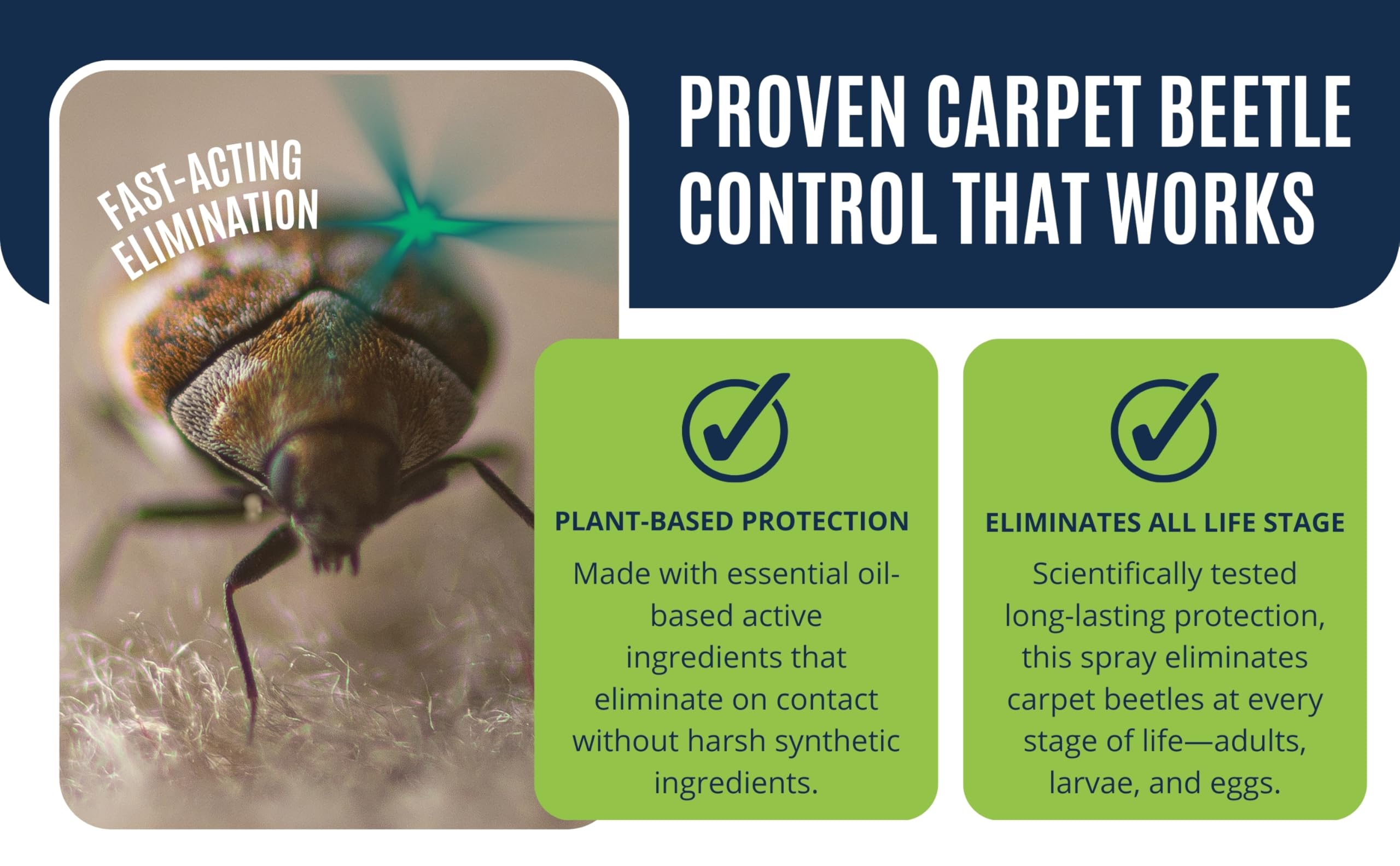 Colton's Naturals Carpet Beetle Spray near baseboards protecting fabrics