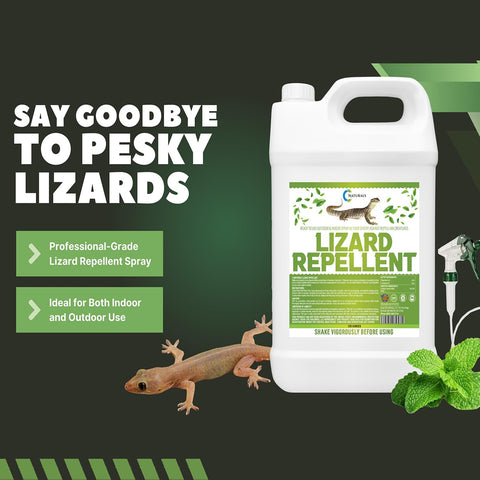 Colton's Naturals lizard repellent application helps keep interiors reptile-free.