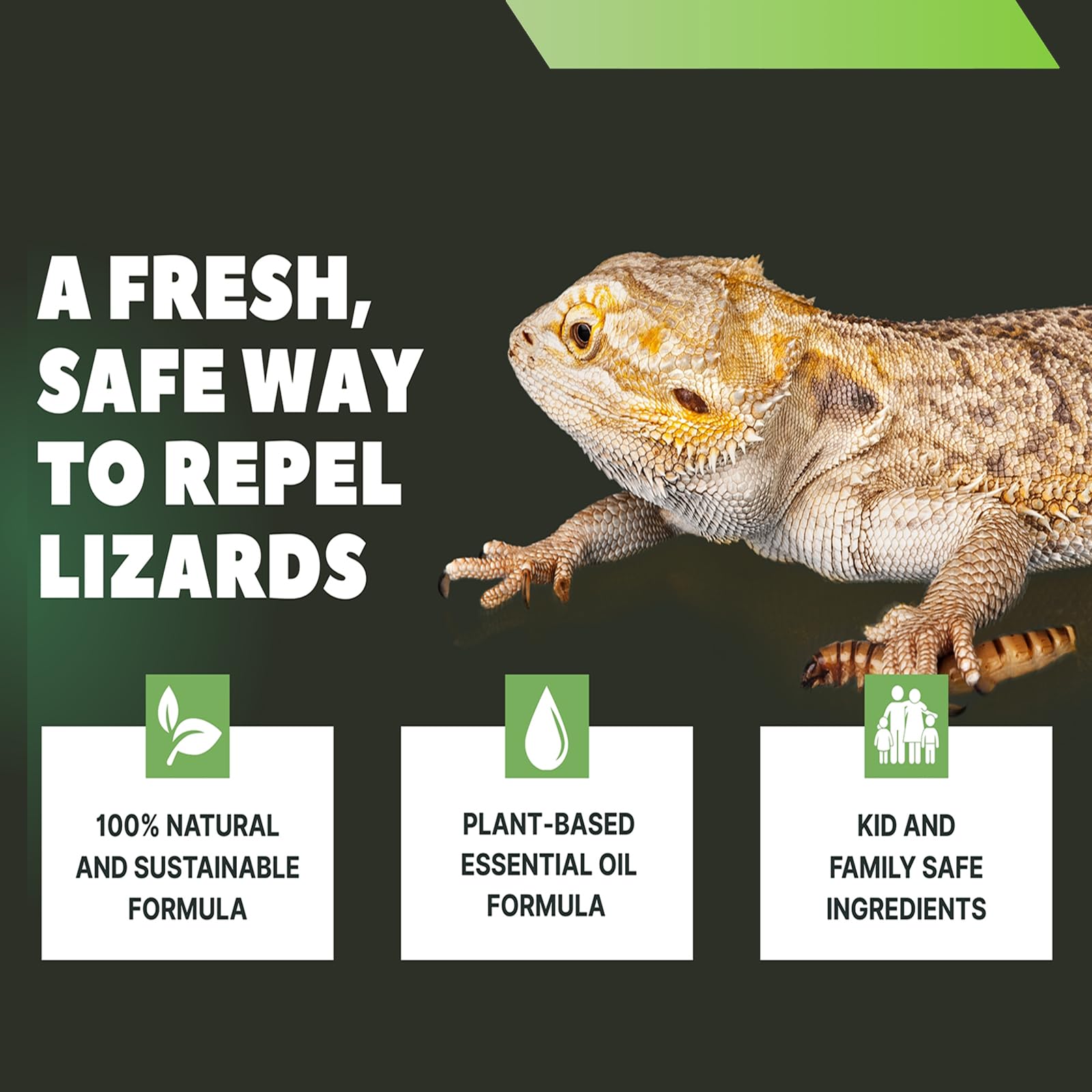 Colton's Naturals outdoor use supports lizard-free spaces around walls and porches.