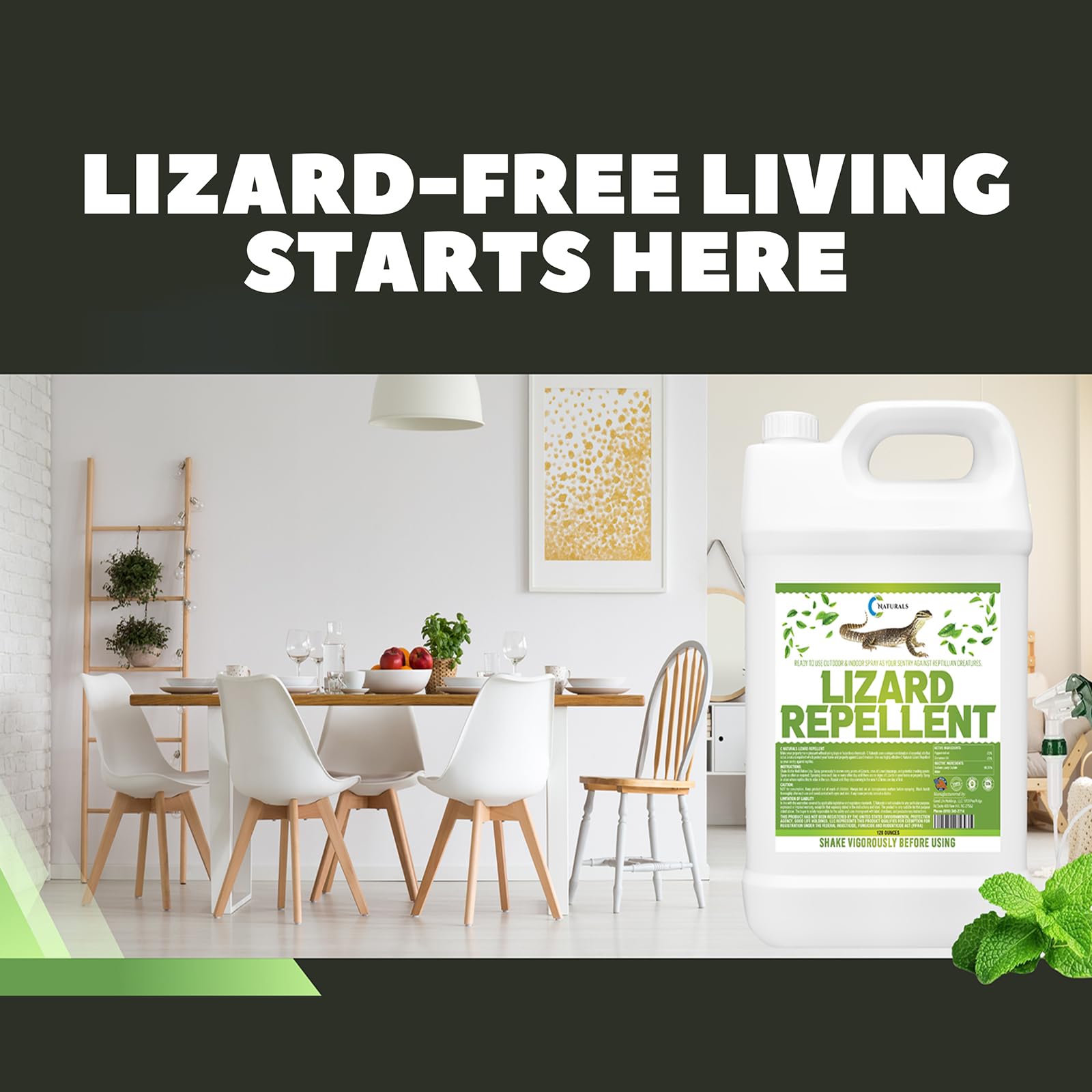 Colton's Naturals lizard repellent kitchen-area spray supports a clean, safe space.