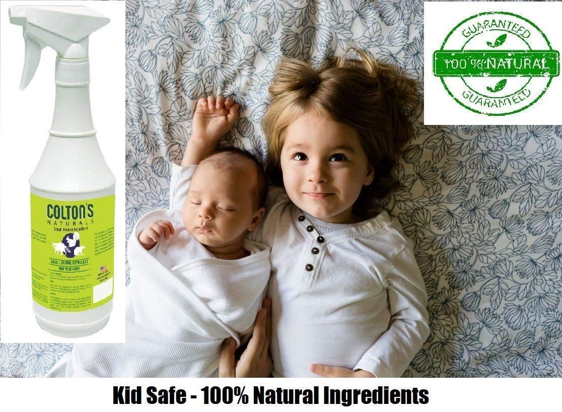 Colton's Naturals spray mist provides peppermint and cinnamon scent while deterring reptiles