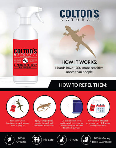 Colton's Naturals Lizard Repellent outdoor application for decks and patios