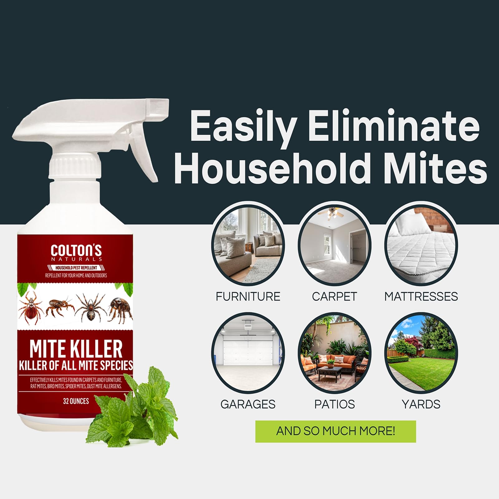 Colton's Naturals Mite Killer Spray on couch cushions showcases safe home use