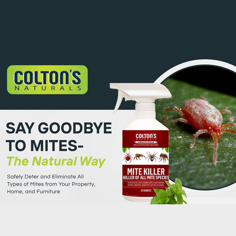 Colton's Naturals Mite Killer Spray on mattress seam shows thorough fabric reach