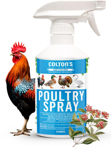 Colton's Naturals Poultry Spray bottle for easy flock care
