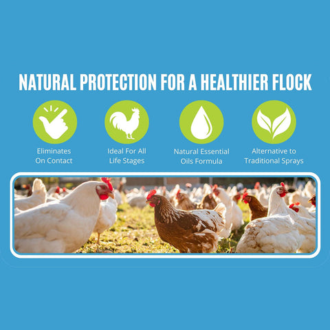 Colton's Naturals Poultry Spray ingredients highlighted with natural oils