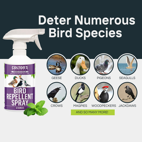 Colton's Naturals spray applied to siding for bird-free surfaces.
