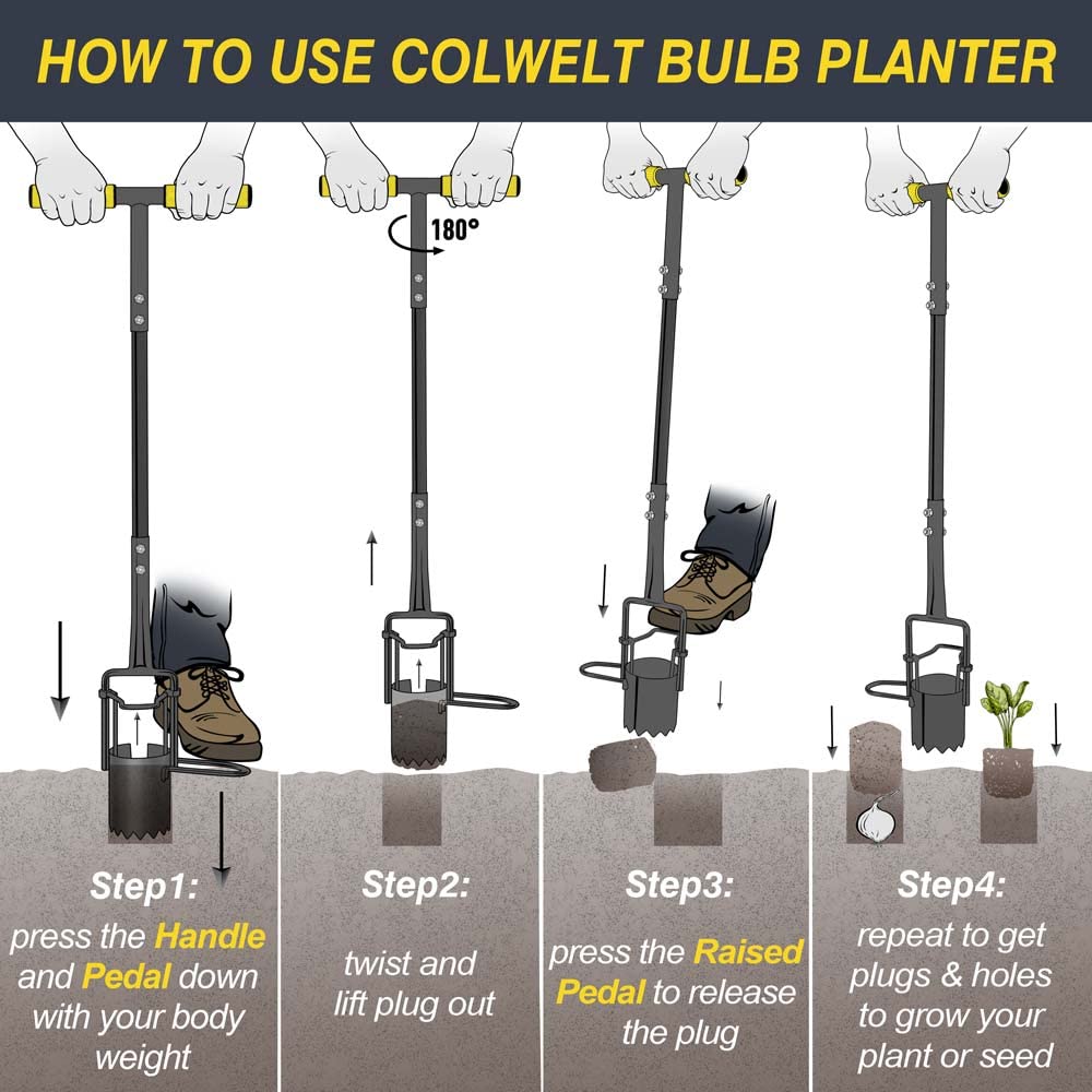 Colwelt bulb planter creates 3-1/2 inch holes quickly for bulbs.