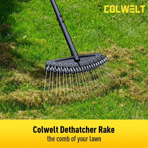 Colwelt ergonomic soft-grip handle reduces fatigue during dethatching.