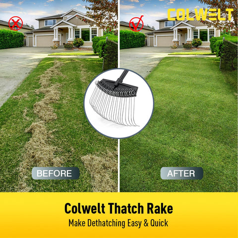 Colwelt dethatching rake aids pre-seeding prep by clearing debris efficiently.