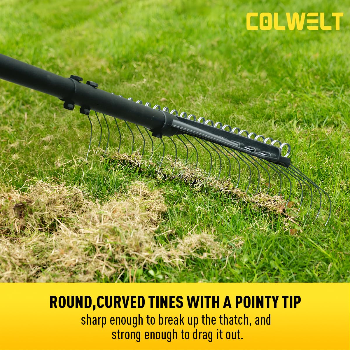 Colwelt spring steel tines glide through grass without harming healthy turf.