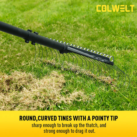 Colwelt spring steel tines glide through grass without harming healthy turf.