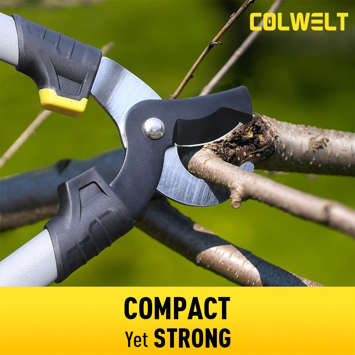 Colwelt hedge clippers close up highlighting low friction coating