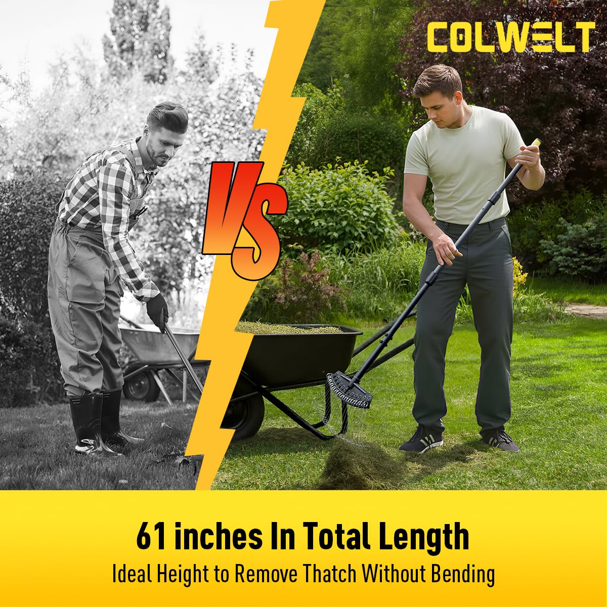 Colwelt rake clears pine needles, leaves, and debris for a tidier lawn.