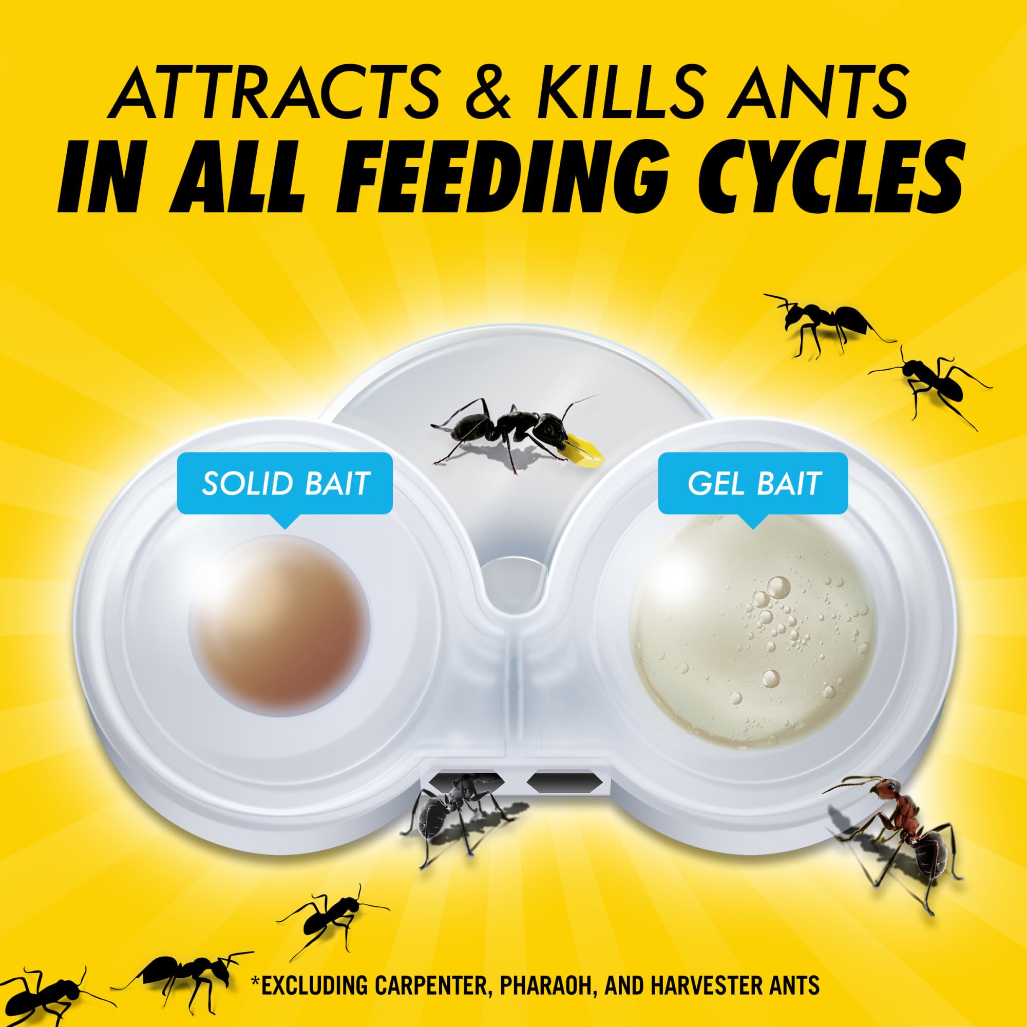 Combat Max 2in1 bait placed along ant trails in a kitchen and entryway.