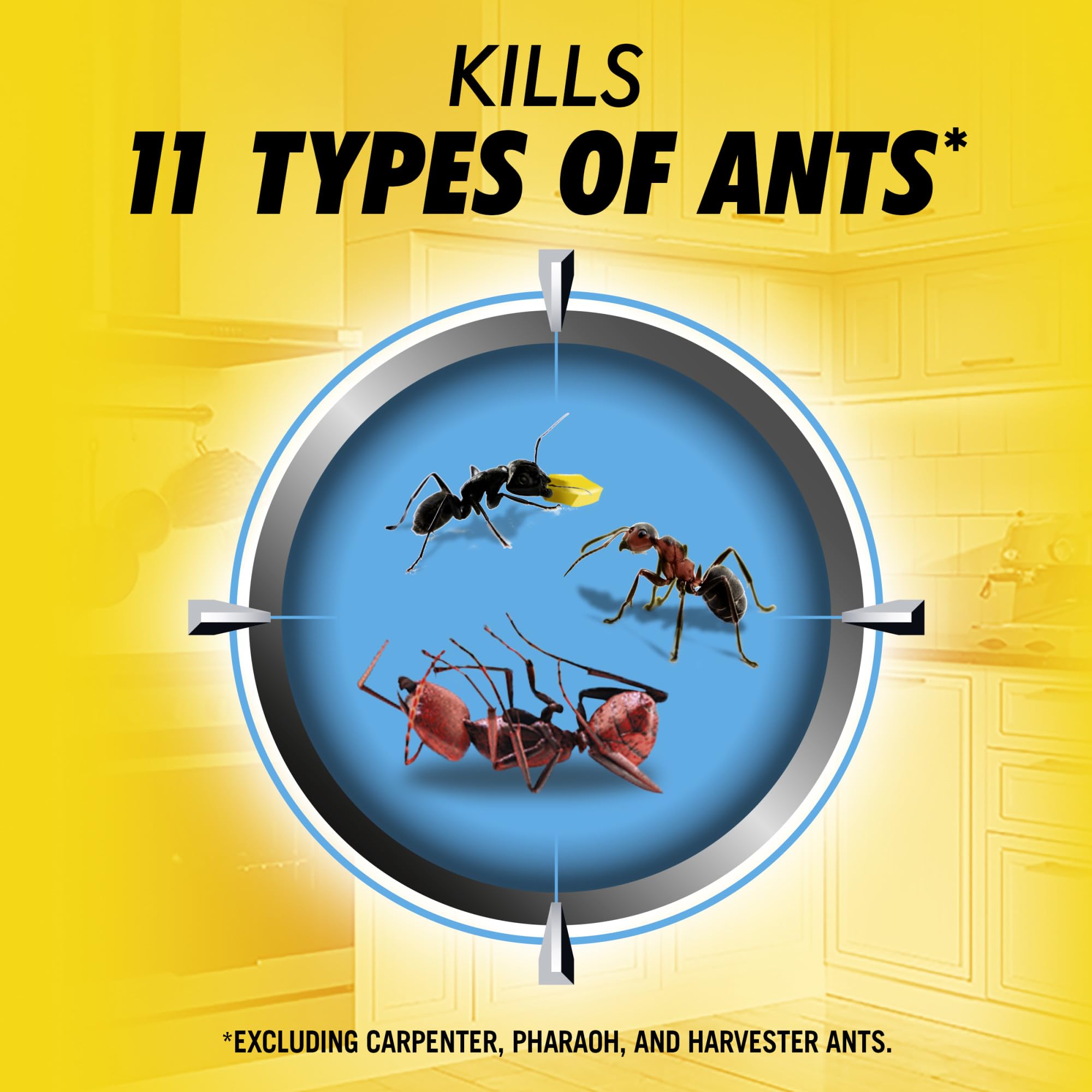 Combat Max 2in1 dual formula attracts sugar and protein loving ants for broader control.