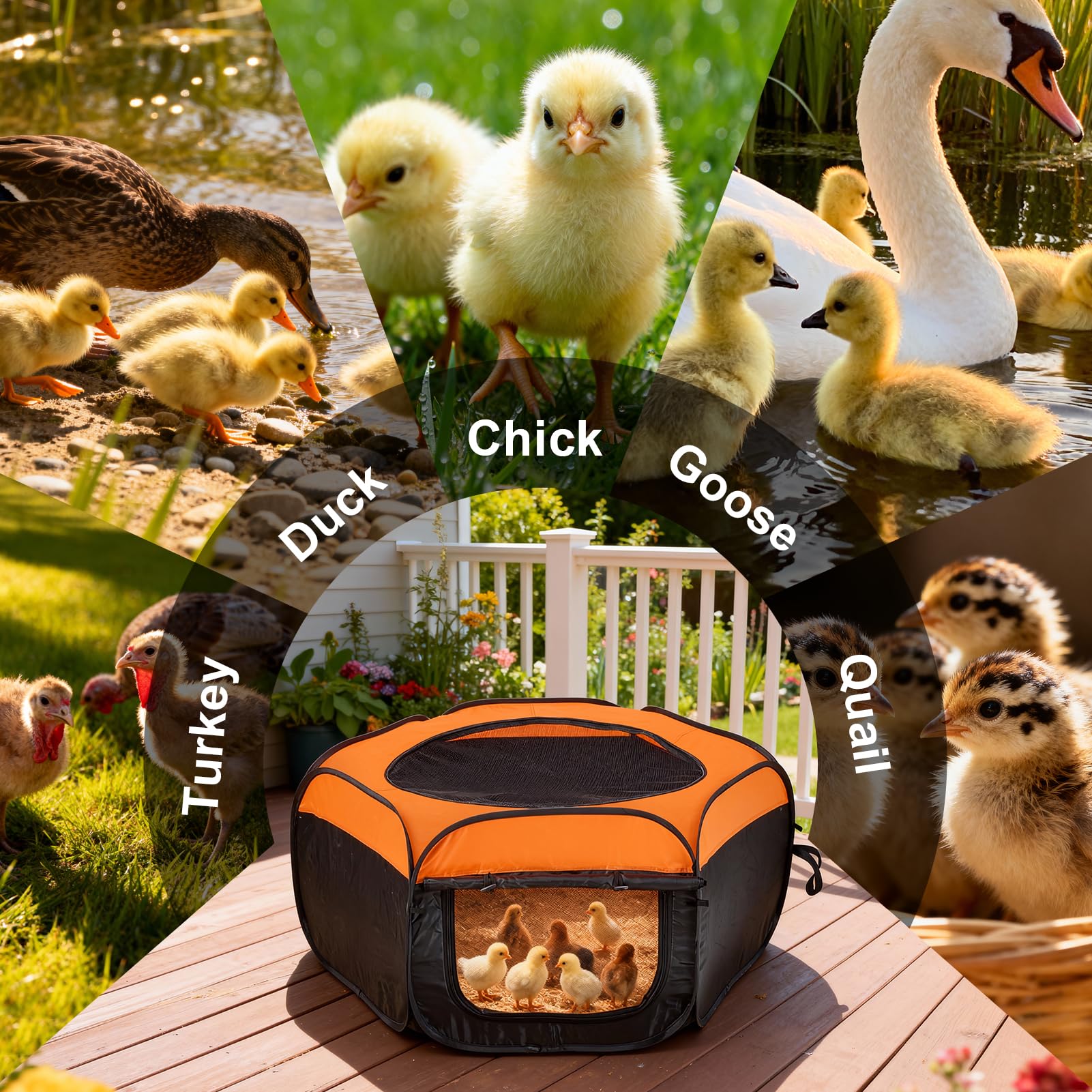 Ground pegs stabilize the ComfyKit Brooder Box during setup