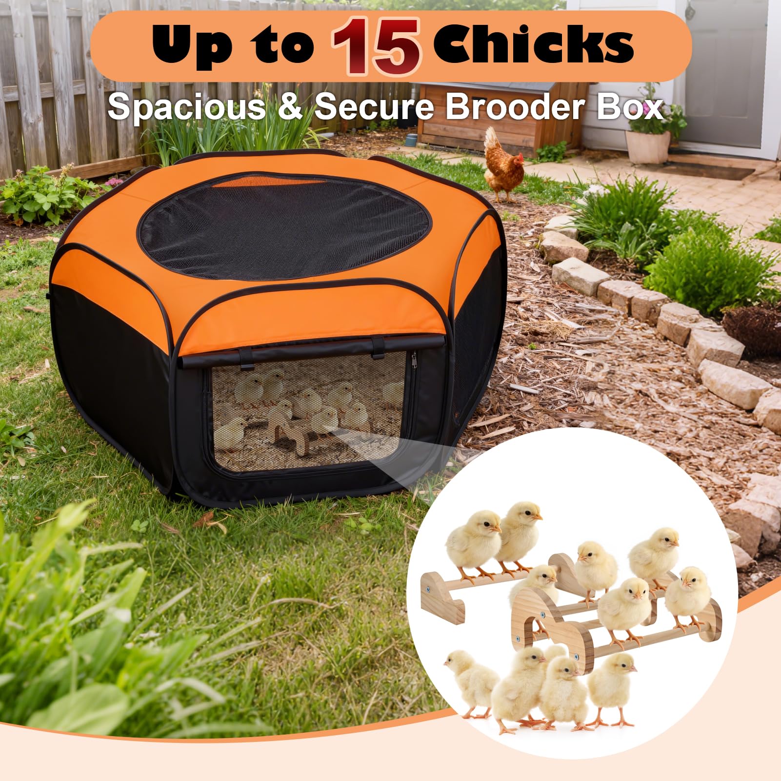 Cozy mesh top on the ComfyKit Brooder Box provides ventilation and security