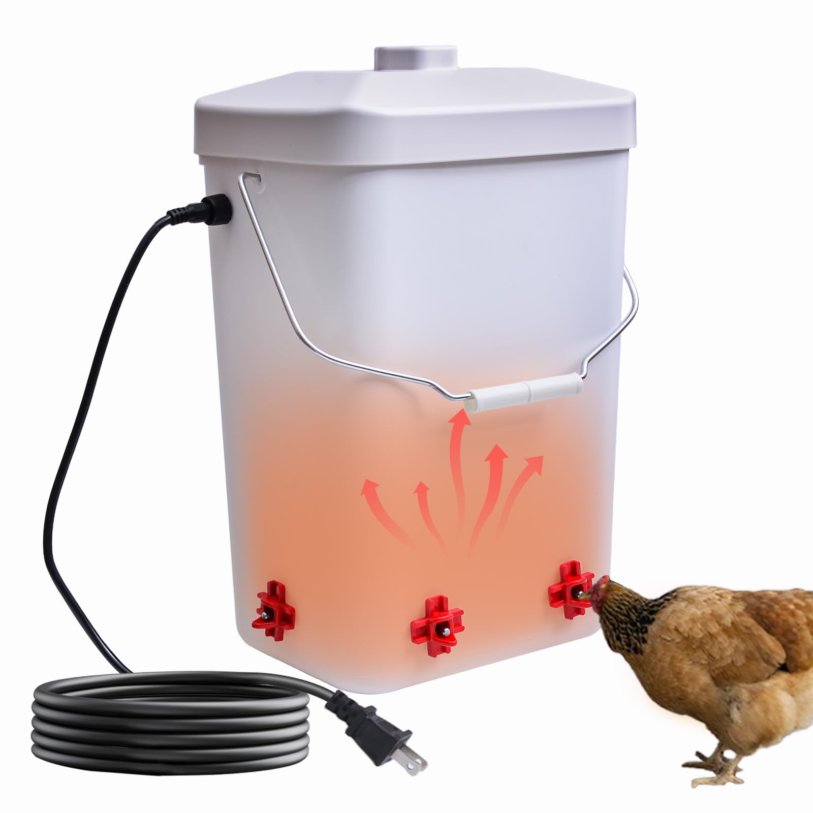 Comincia 3-gallon waterer bucket in coop providing reliable hydration.
