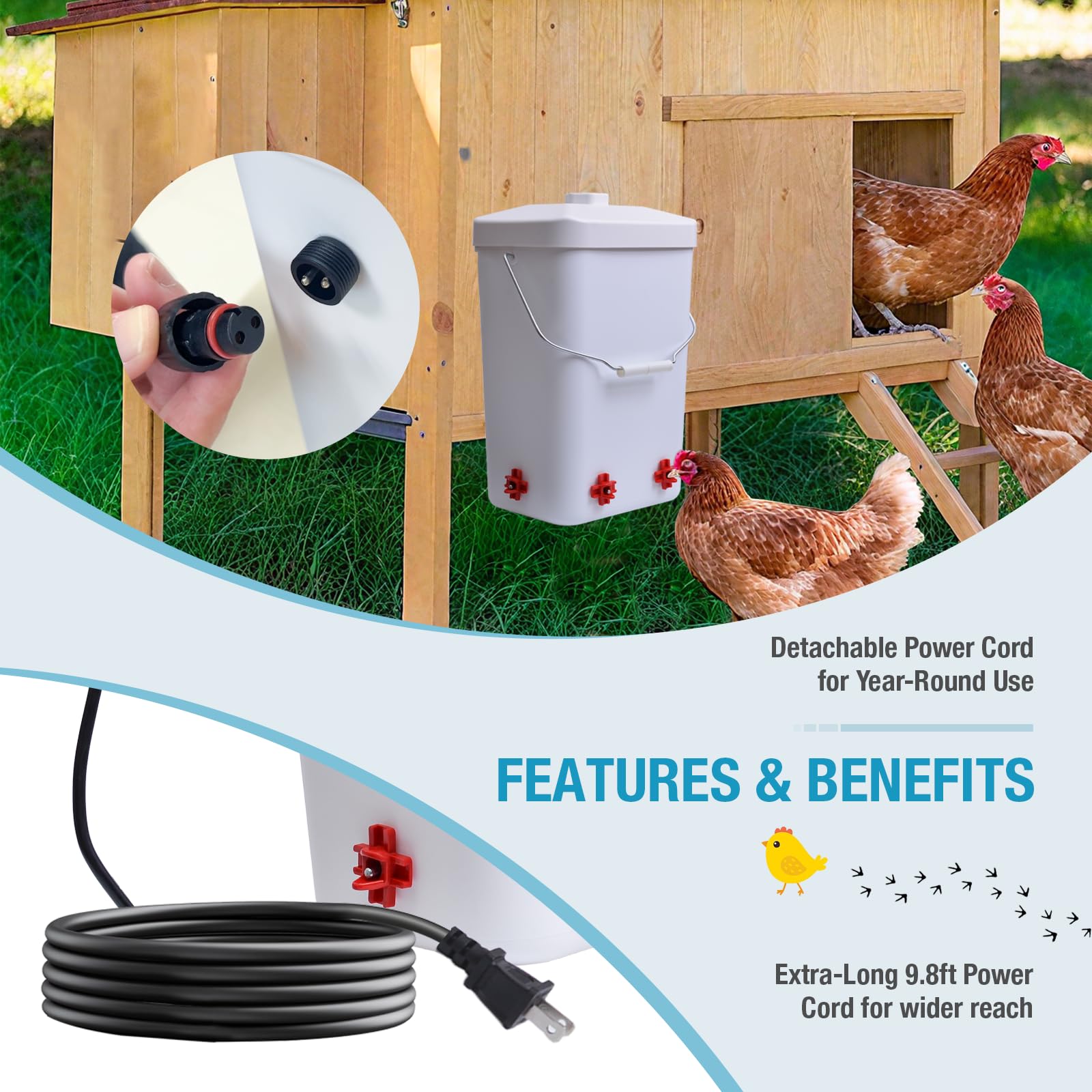Comincia chicken waterer thermostat heater for consistent warmth.