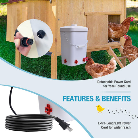 Comincia chicken waterer thermostat heater for consistent warmth.