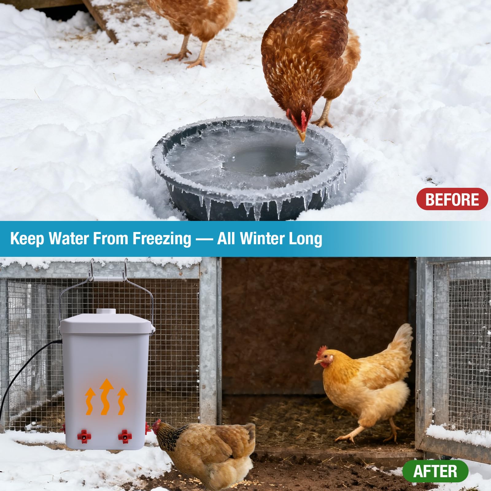 Comincia curved lid design prevents roosting on top and keeps water clean.