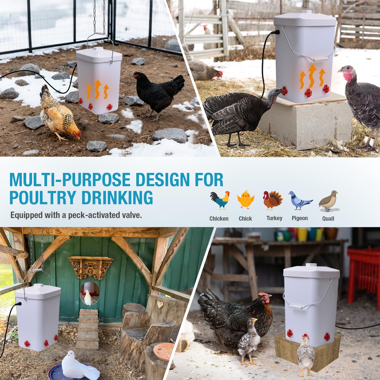 Comincia waterer in coop ready for year-round flock care.