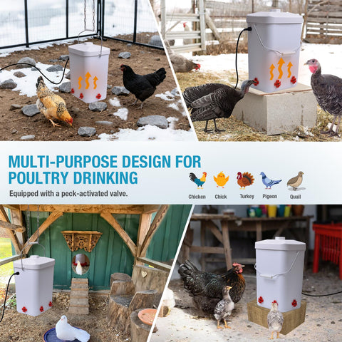 Comincia waterer in coop ready for year-round flock care.