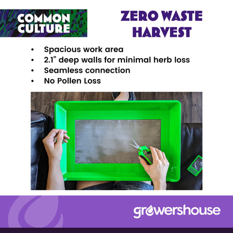 Common Culture bottom harvest bin keeps trim organized during harvest