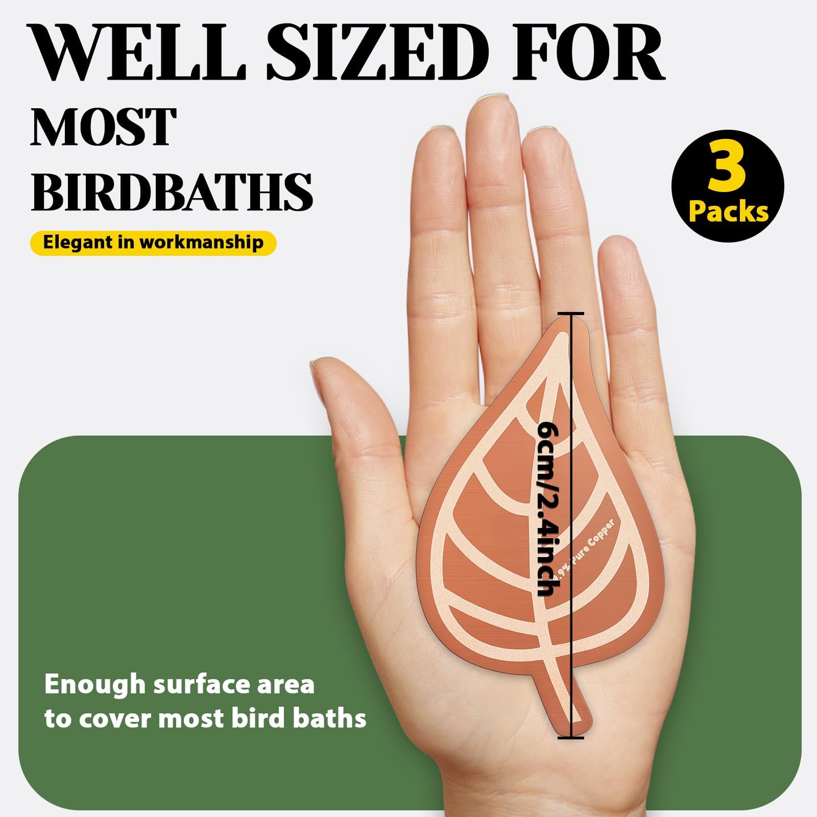 Conderyang copper disc set in a birdbath attracts visiting birds