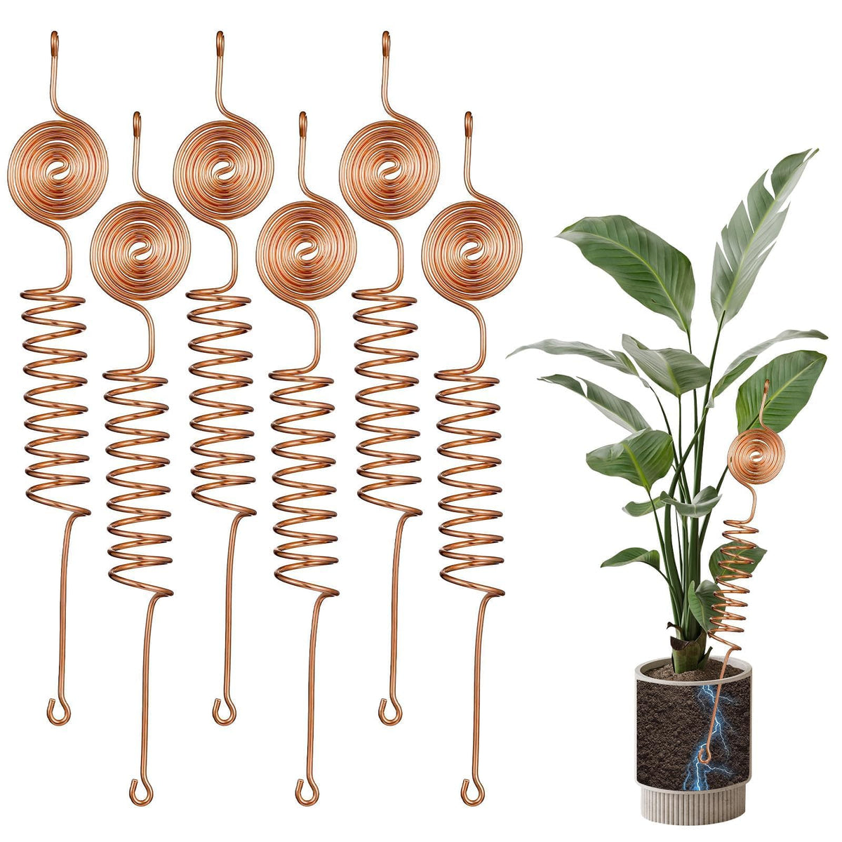 Conderyang electroculture antenna stake boosting root vigor in the garden bed.