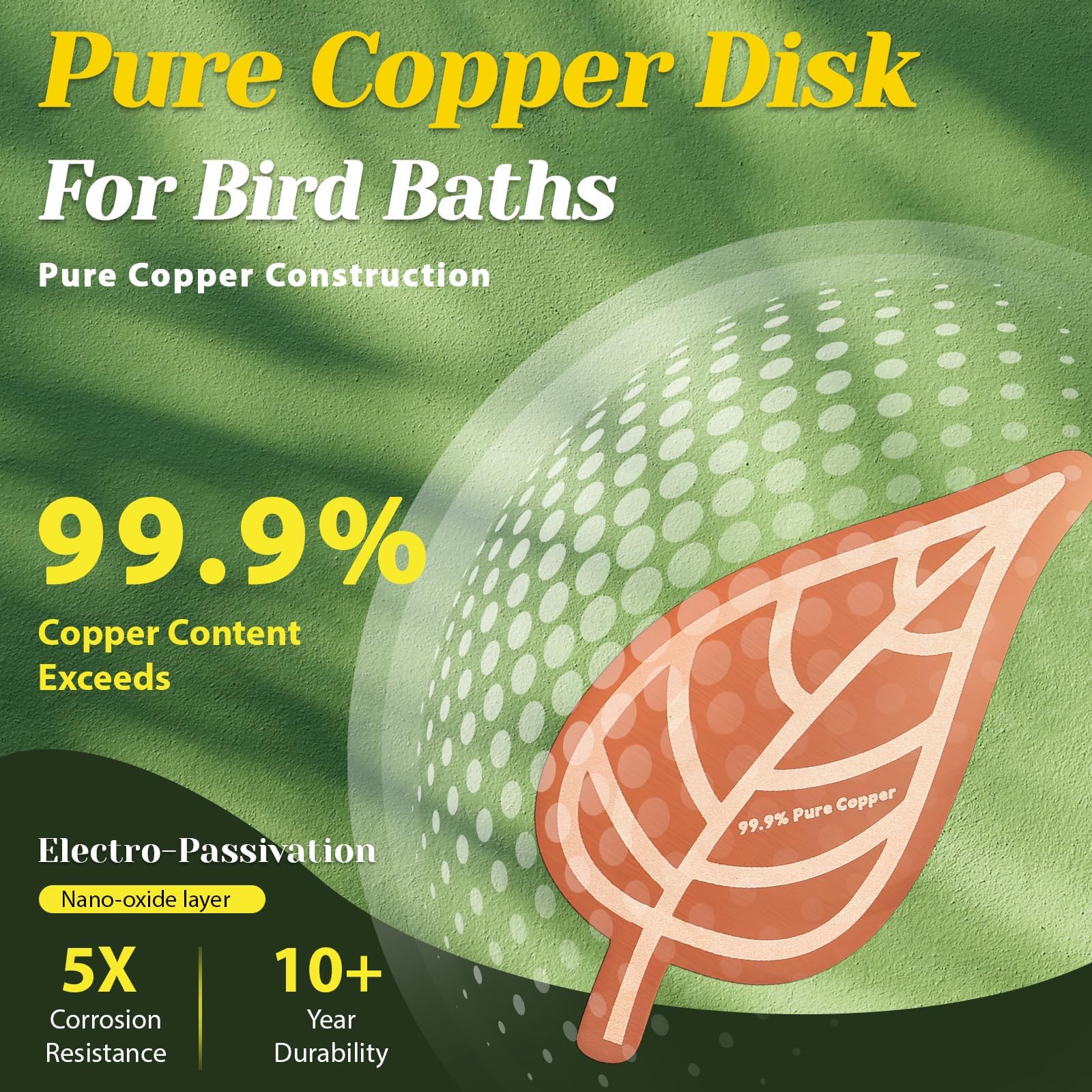 Conderyang purification disc in birdbath demonstrates year-round water care