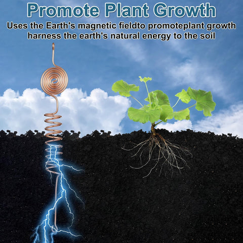 Conderyang tensor rings kit enhances energy flow for robust vegetative development.