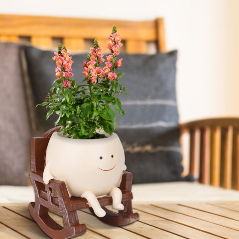 CONNOVA DIY décor gift planter for personalized spaces.