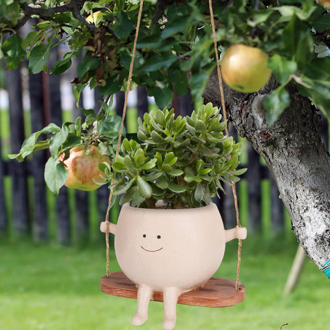 CONNOVA hanging planter suitable for both indoor and outdoor setups.