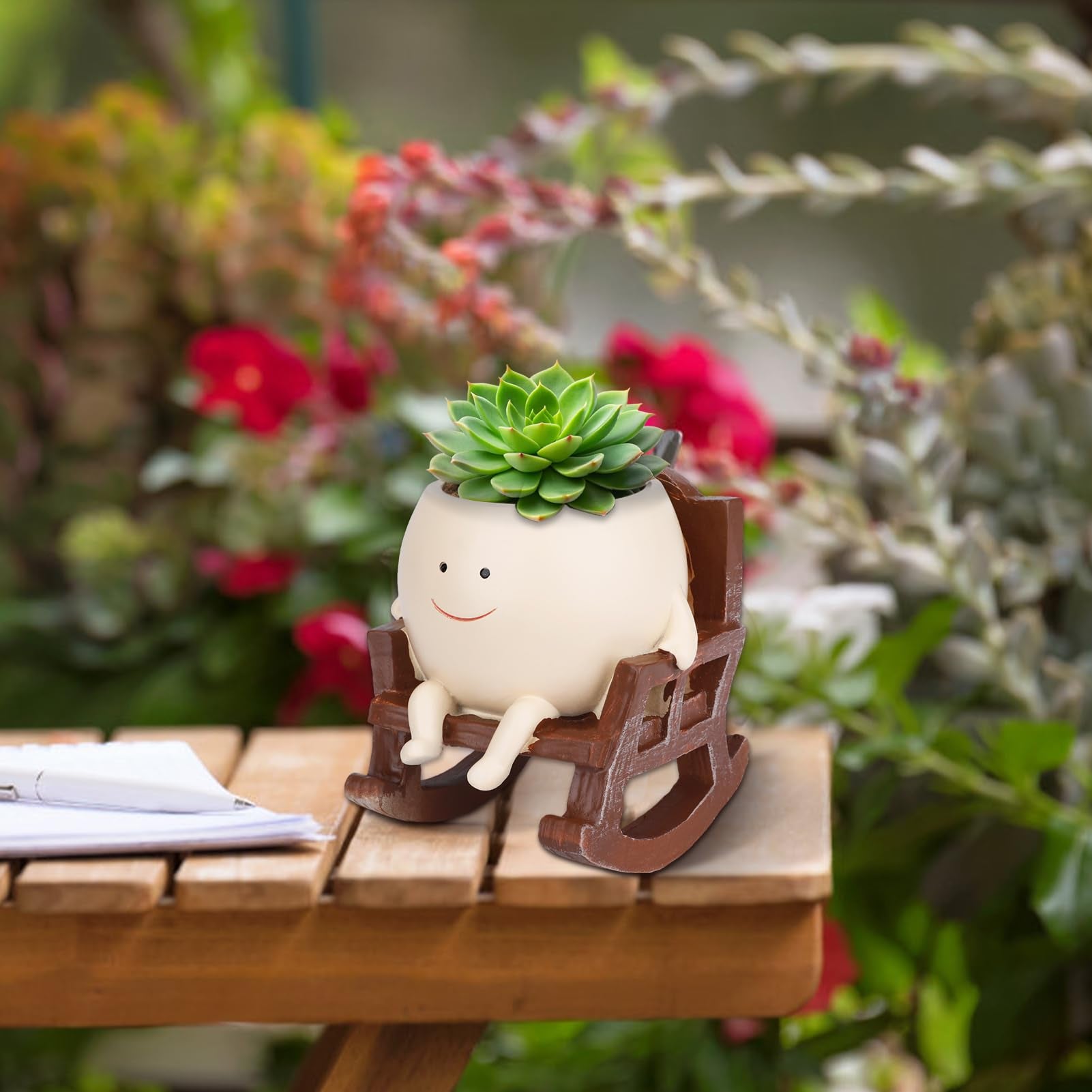 CONNOVA Succulent-friendly planter ideal for compact greenery and décor.