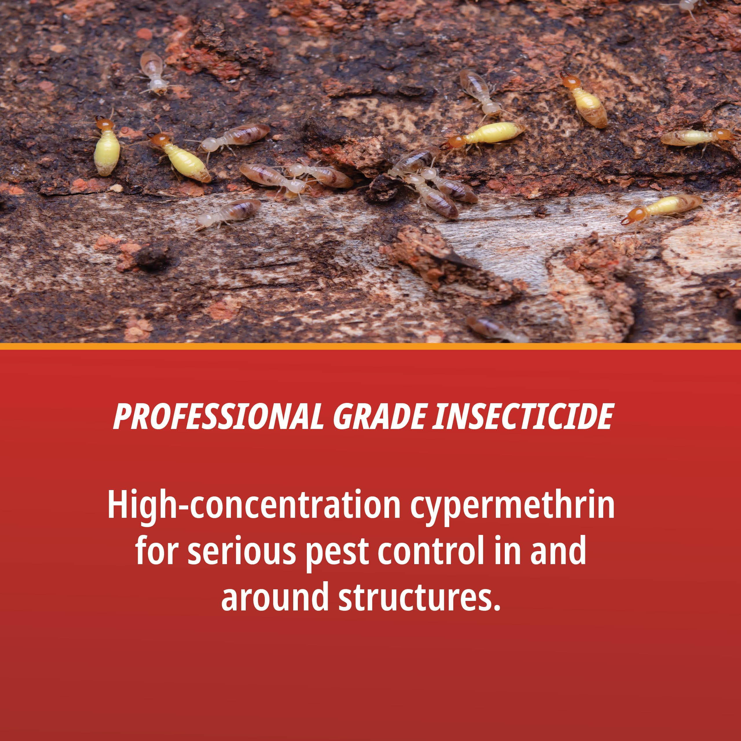 Cyper TC Termite soil barrier image illustrating soil bonding for pest prevention