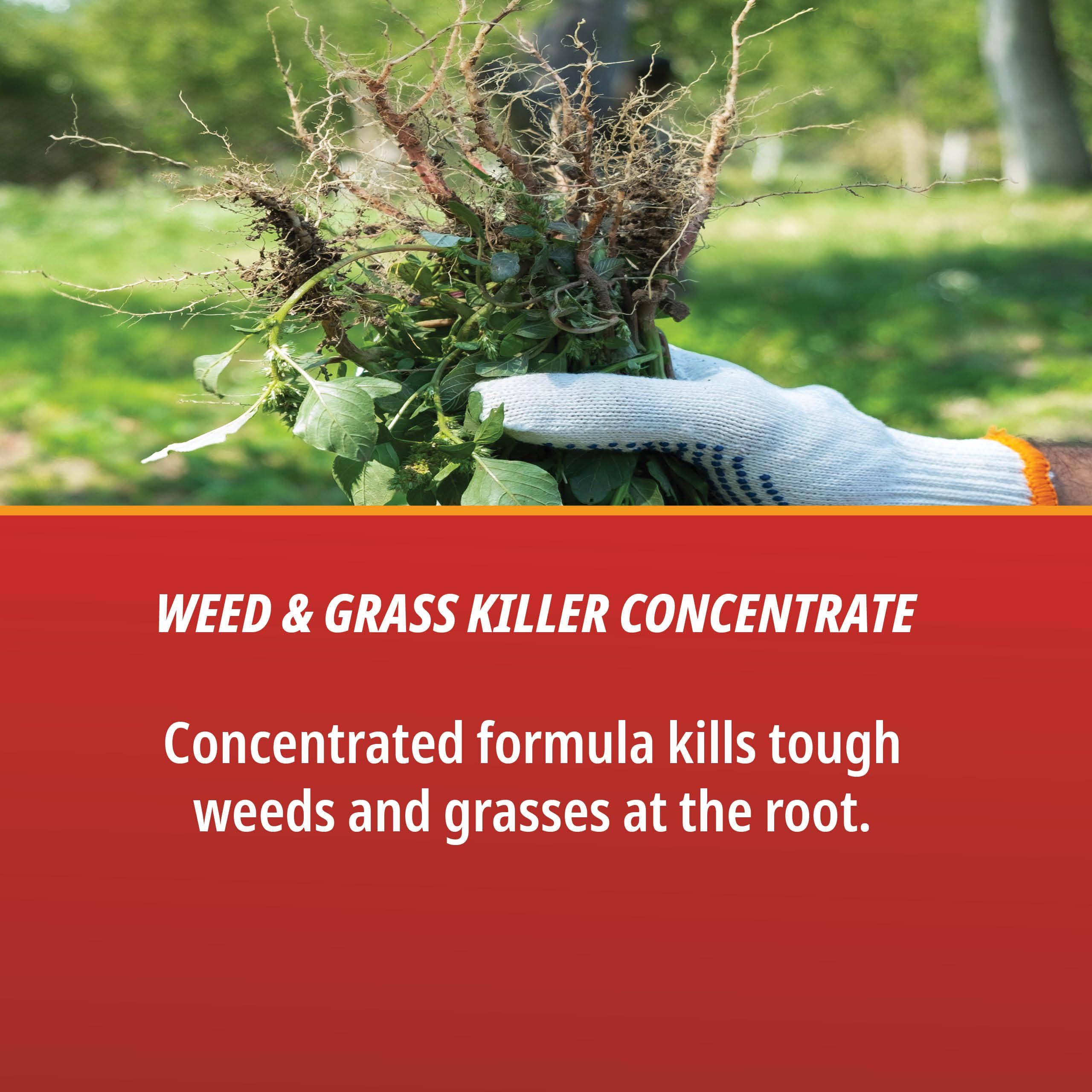 Control Solutions Eraser label highlights 41% Glyphosate for effective post-emergence weed management.