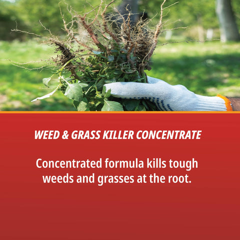 Control Solutions Eraser label highlights 41% Glyphosate for effective post-emergence weed management.
