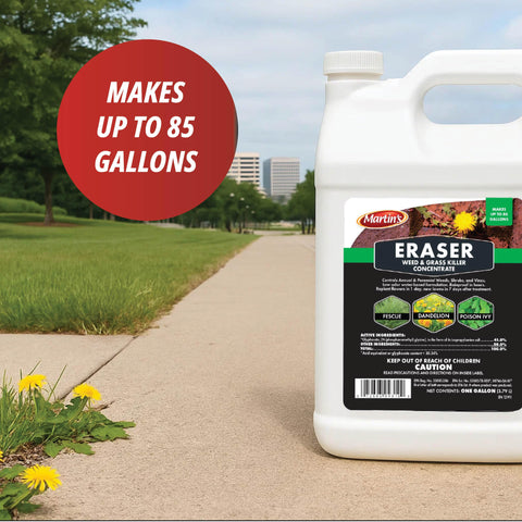 Control Solutions Eraser weed killer applied to lawn areas targets stubborn weeds with accuracy.