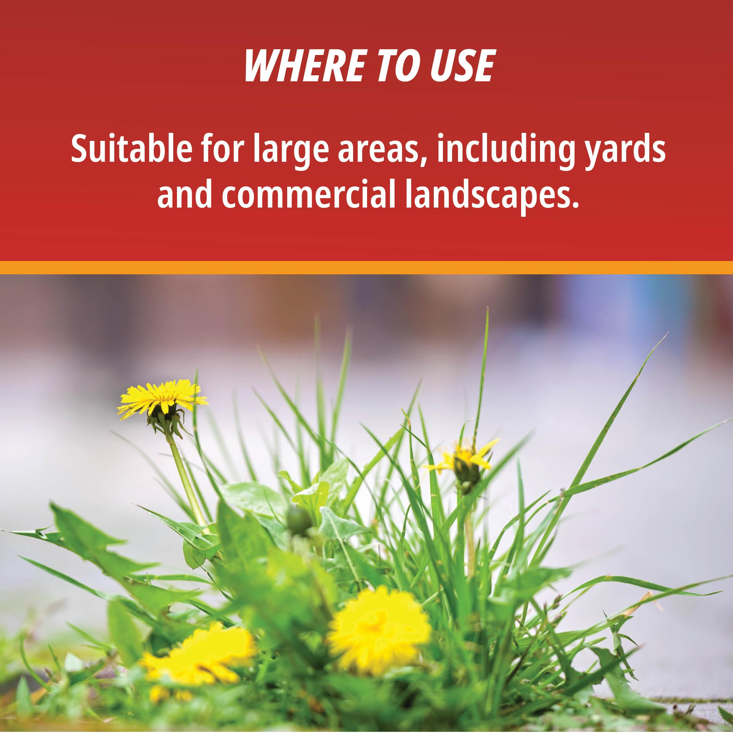 Control Solutions Eraser concentrate packaging, durable for storage and extended use.