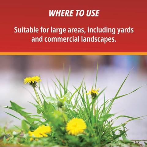 Control Solutions Eraser concentrate packaging, durable for storage and extended use.