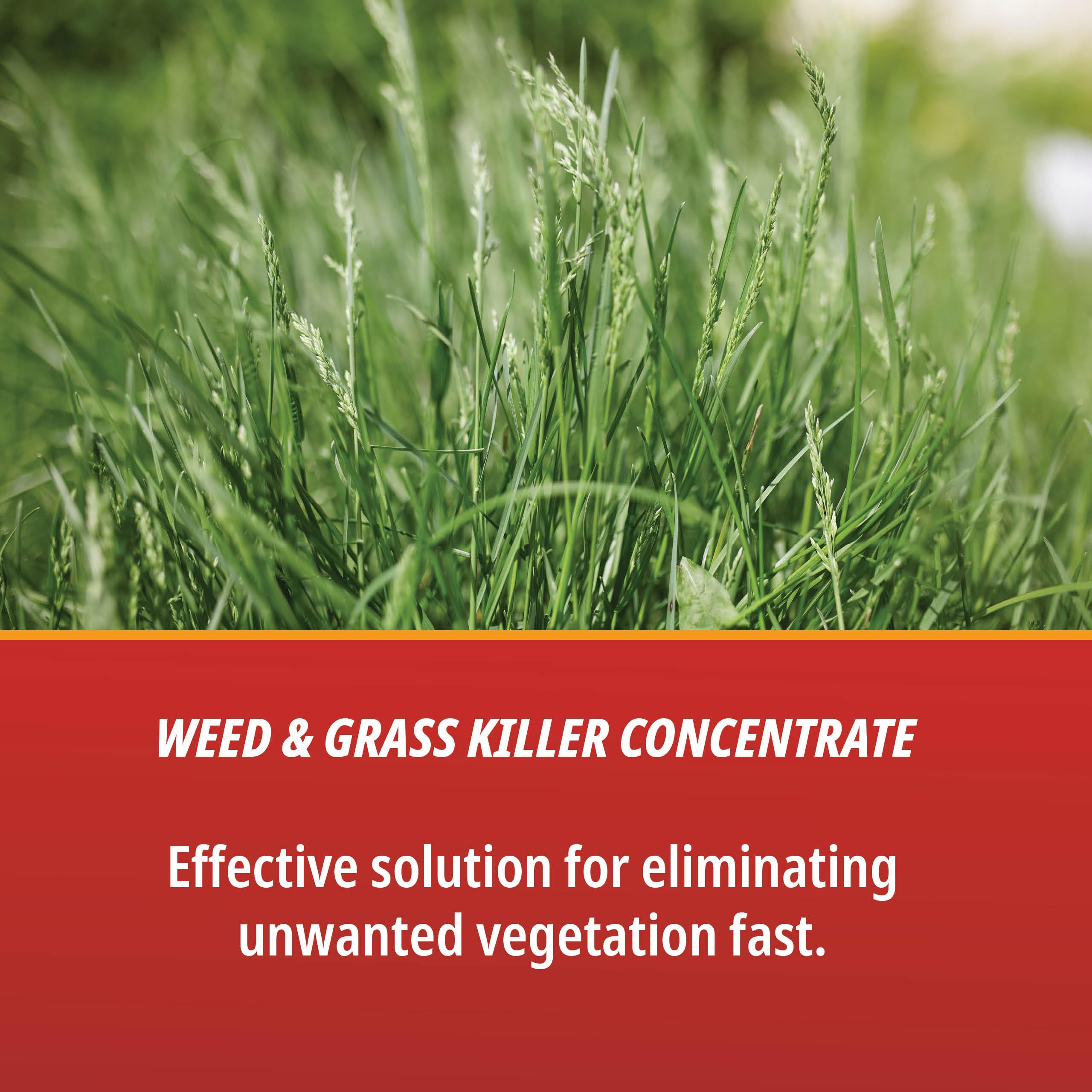 Control Solutions Eraser concentrate pour spout, easy measurement for precise application.