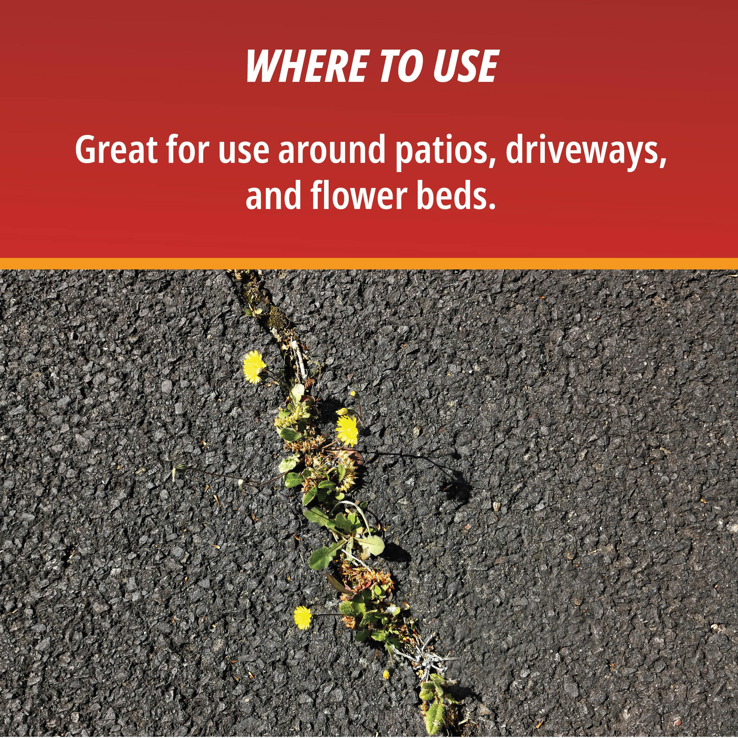 Control Solutions Martins Eraser 16oz bottle ready for driveway weed control.