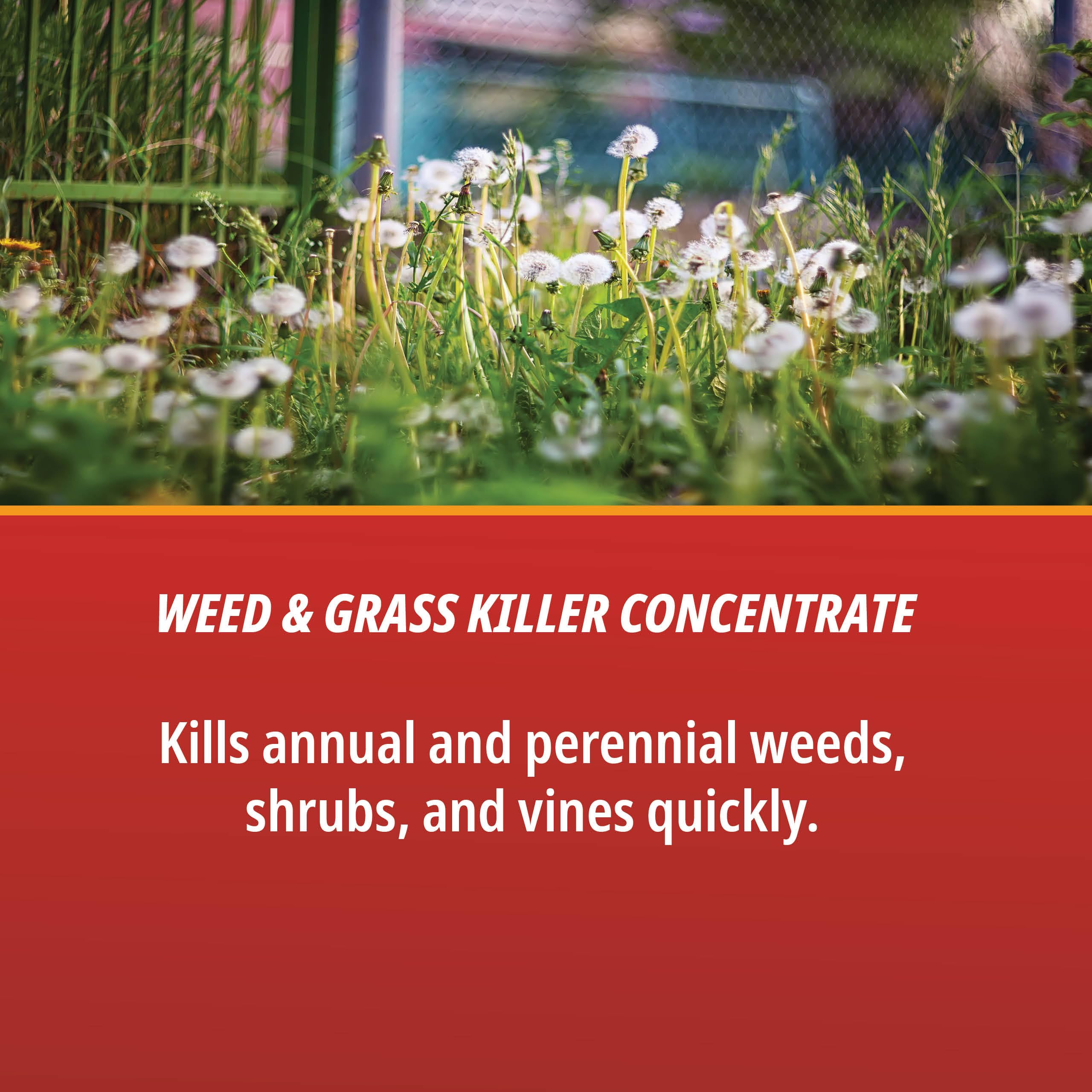 Martins Eraser 16oz label highlights 41% glyphosate for targeted weed management.