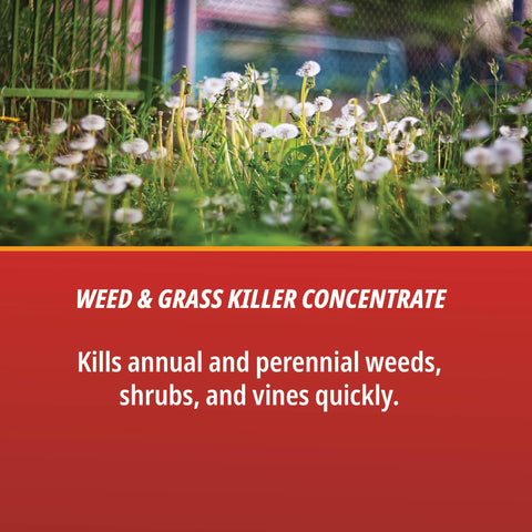 Martins Eraser 16oz label highlights 41% glyphosate for targeted weed management.