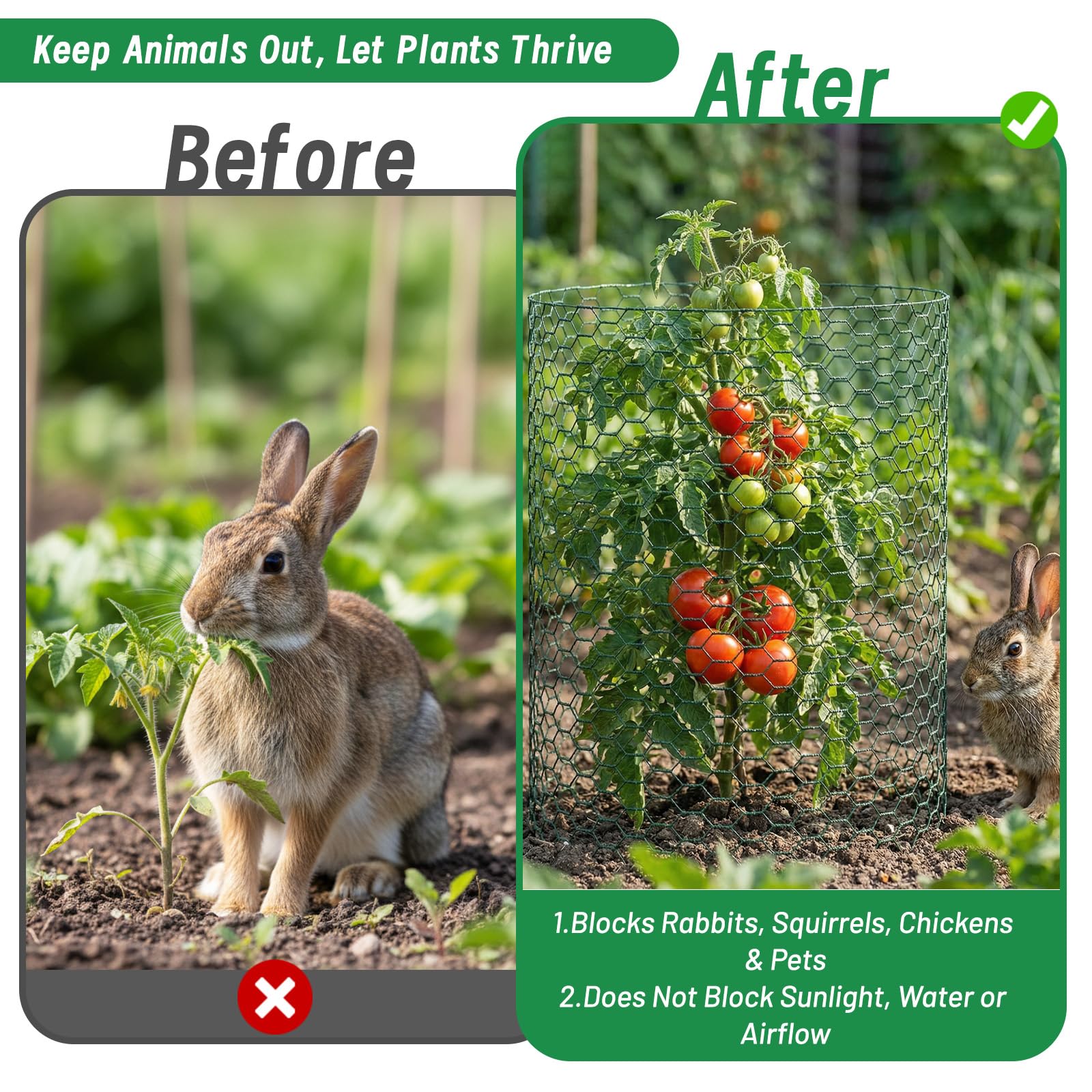 Convivium dense metal mesh guards protect vegetables and herbs while allowing sunlight.