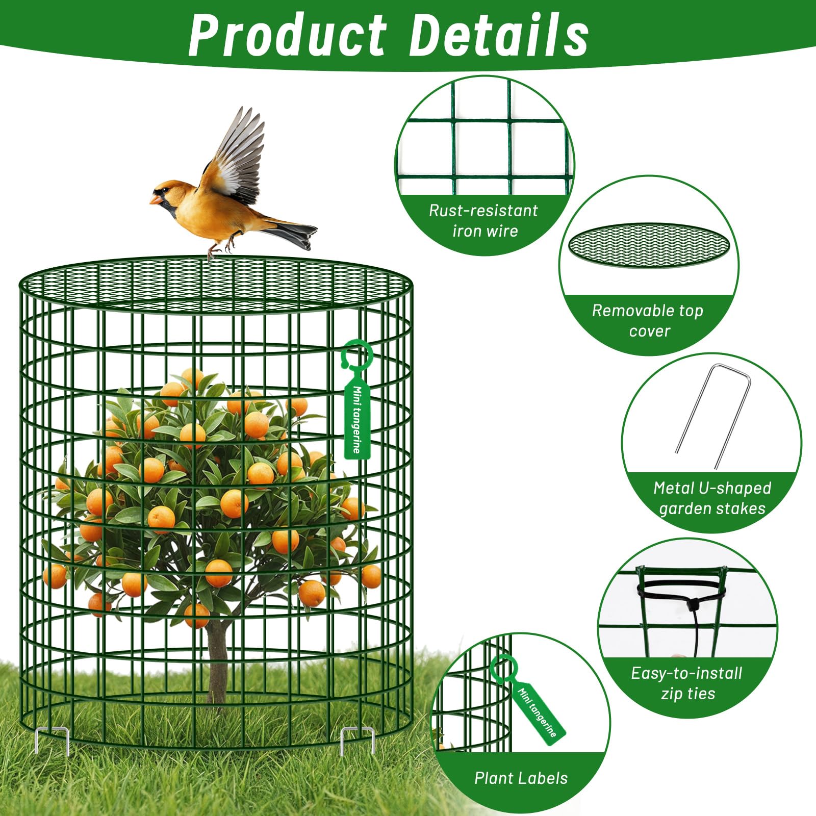 Rust-resistant metal mesh guards against rabbits, squirrels, and other garden nibblers.